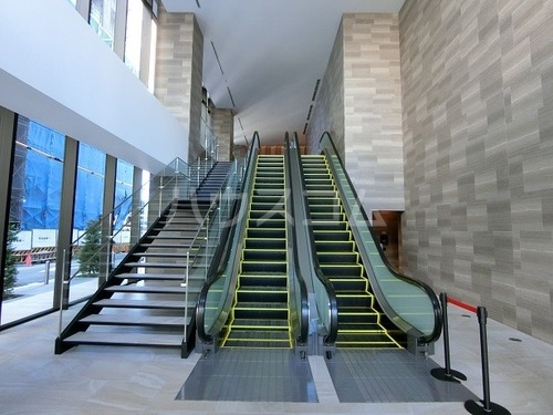 7/19 その他画像