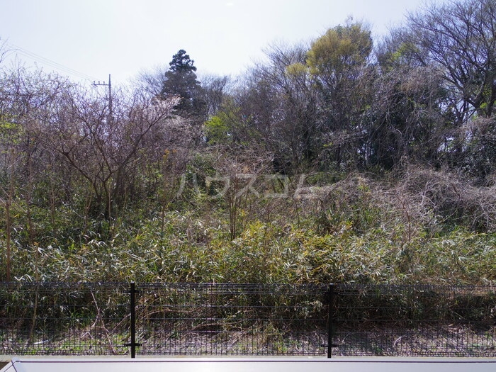 15/19 その他画像