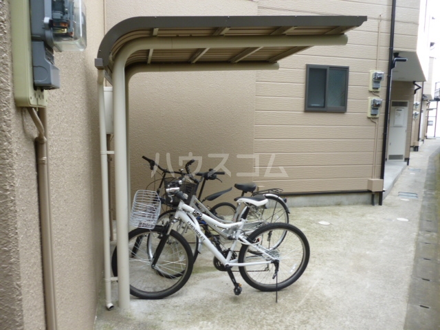 20/30 その他画像