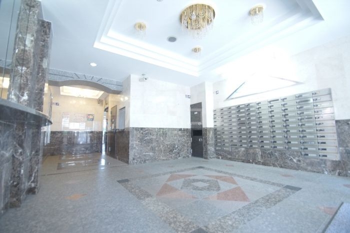 15/19 その他画像