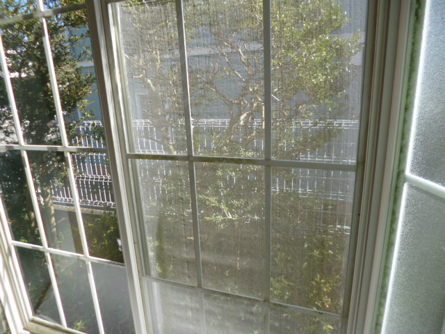 17/26 その他画像