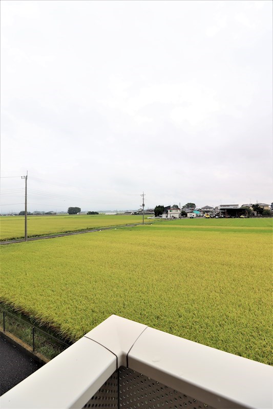 17/23 その他画像