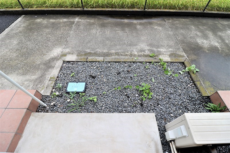 18/23 その他画像