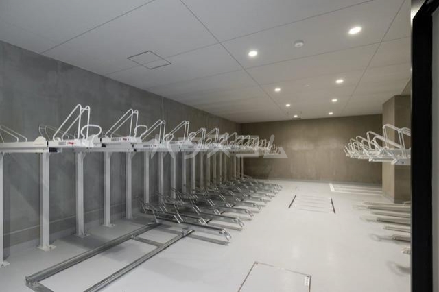 5/11 その他画像