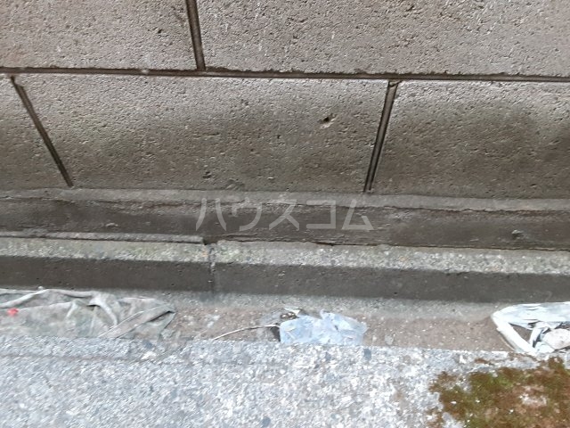 11/18 その他画像