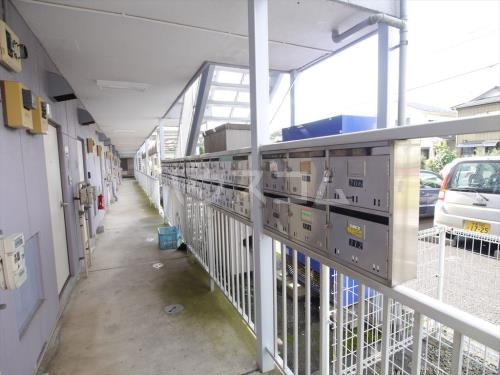 17/29 その他画像