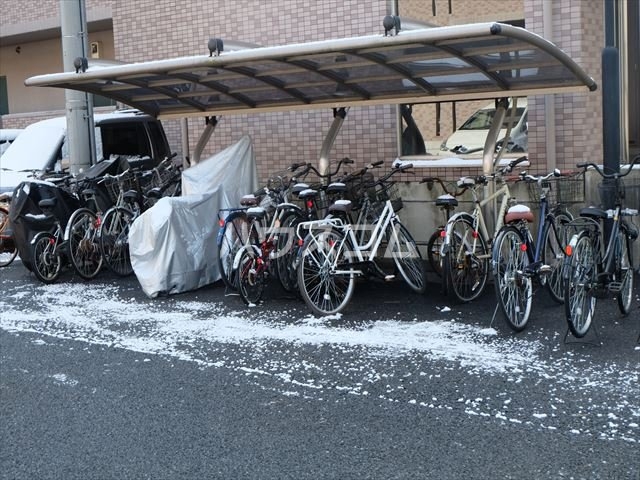 20/30 その他画像