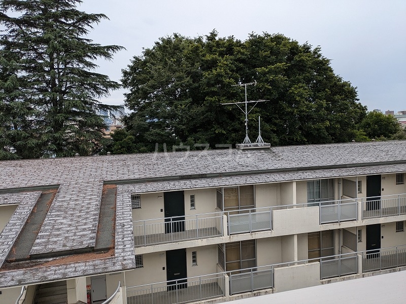 17/23 その他画像