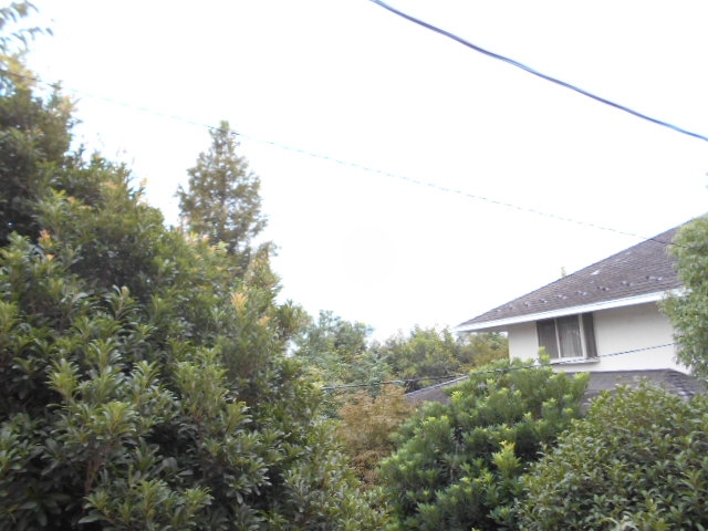 19/25 その他画像