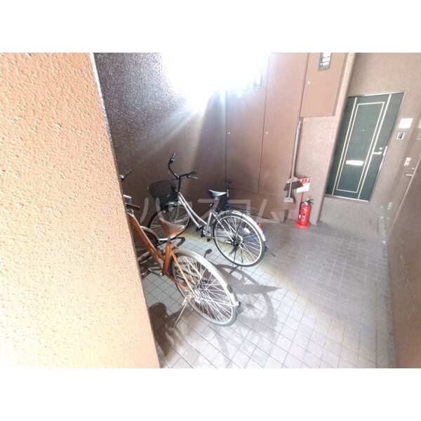 15/24 その他画像