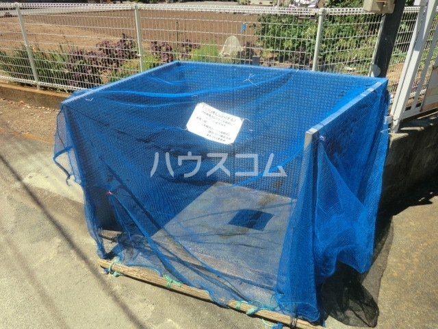 15/19 その他画像