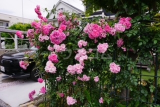 25/30 エントランス