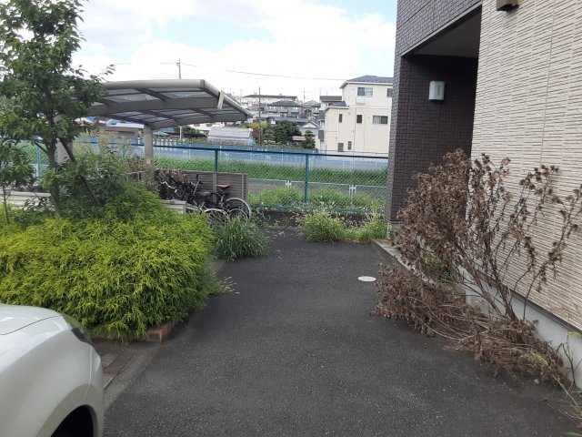 その他画像