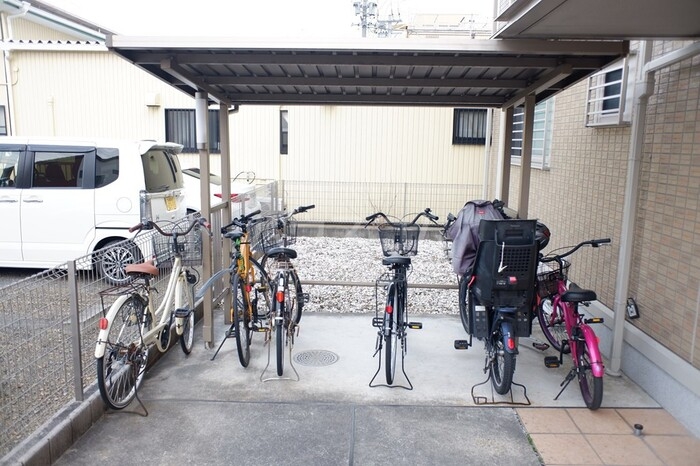 17/22 その他画像