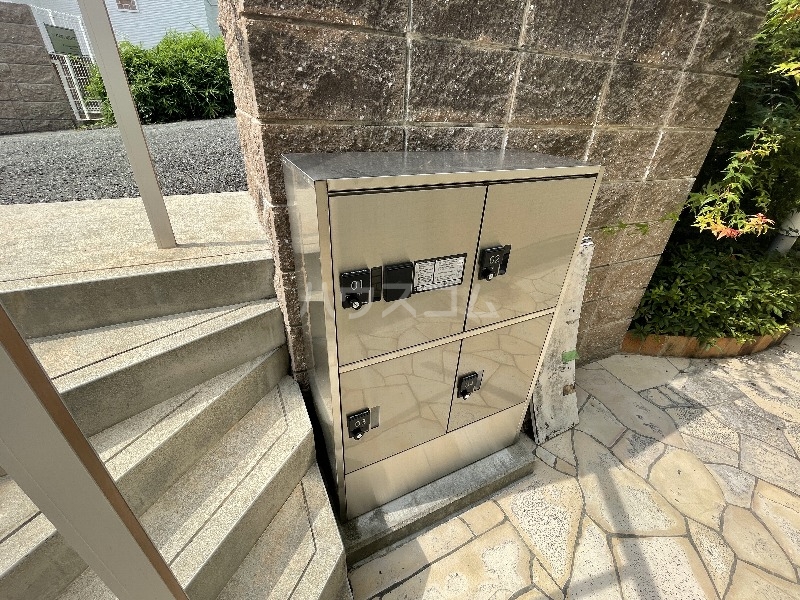 20/30 その他画像