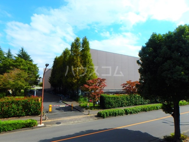 17/30 その他画像