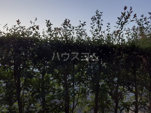 18/30 その他画像