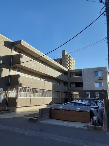 8/17 その他画像