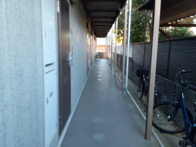 17/29 その他画像