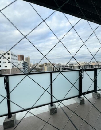 6/17 バルコニー