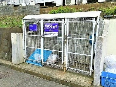 その他画像