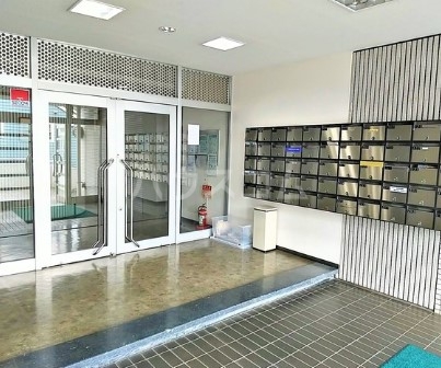 17/29 その他画像