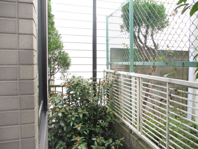 22/29 その他画像