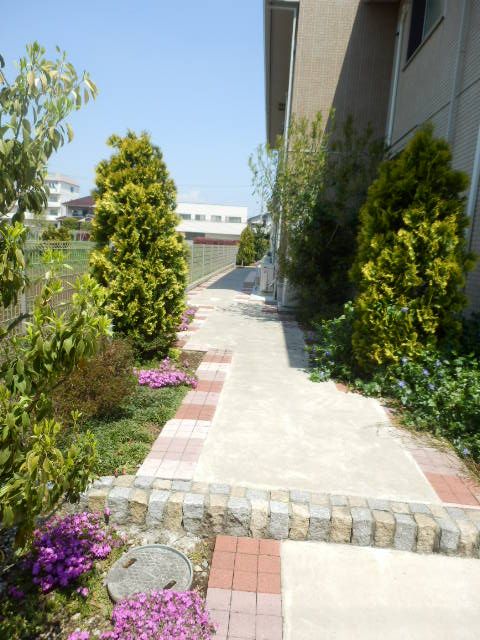 19/26 その他画像