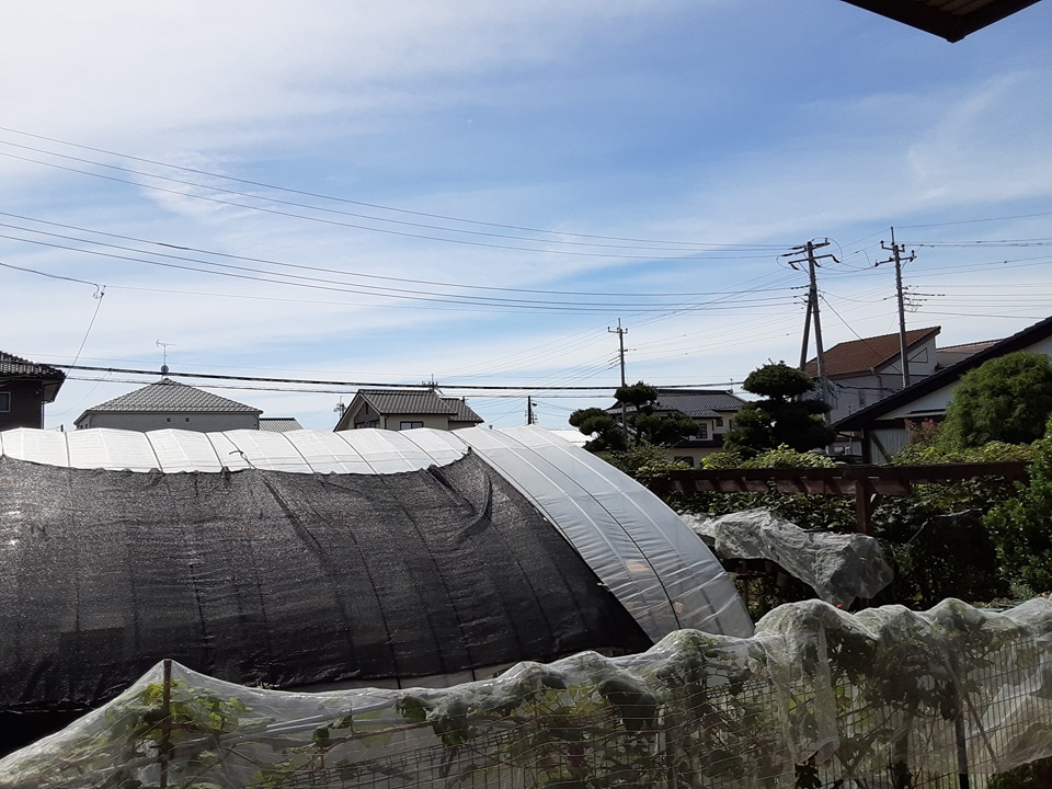 15/23 その他画像