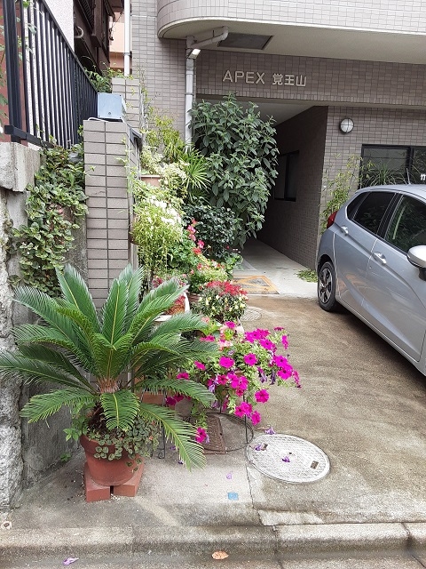 23/29 エントランス