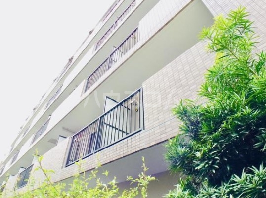 17/28 その他画像