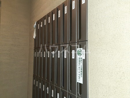 17/25 その他画像