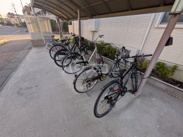 その他画像