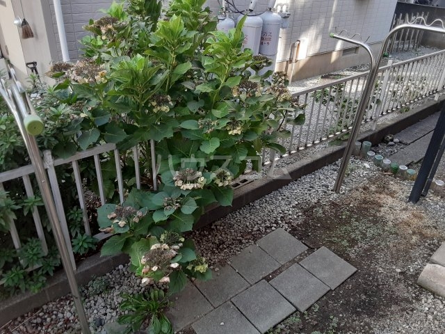 16/20 その他画像