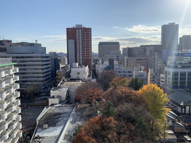 15/29 その他画像