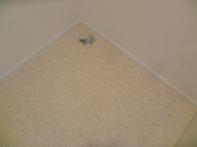 19/29 その他画像