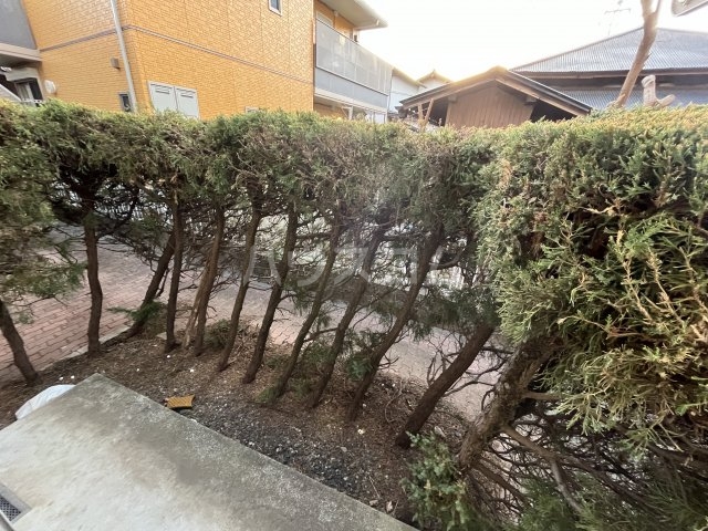 19/29 その他画像