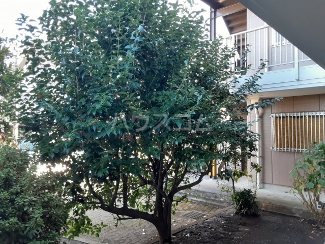 23/30 その他画像