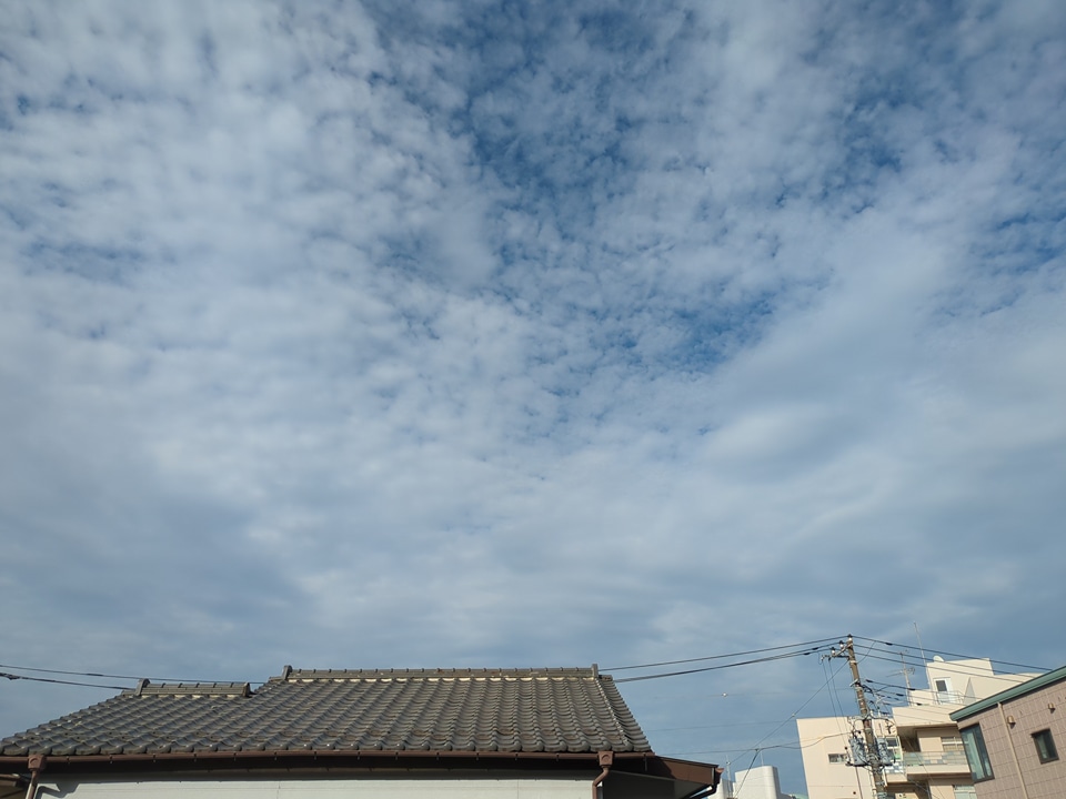 13/18 その他画像