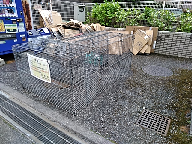 20/30 その他画像