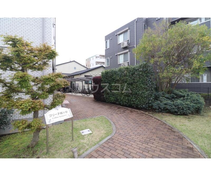 11/24 その他画像