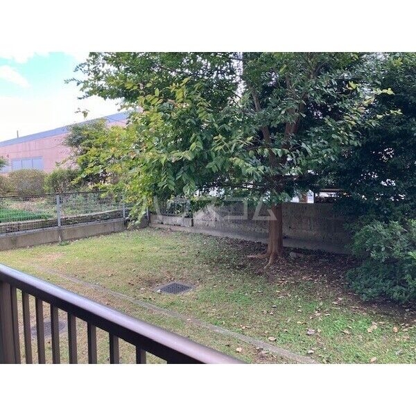 12/21 その他画像