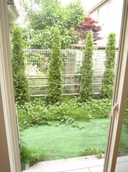 14/21 その他画像