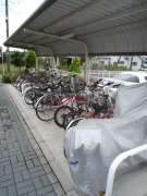 19/24 その他画像