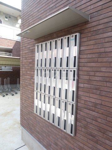 20/30 その他画像