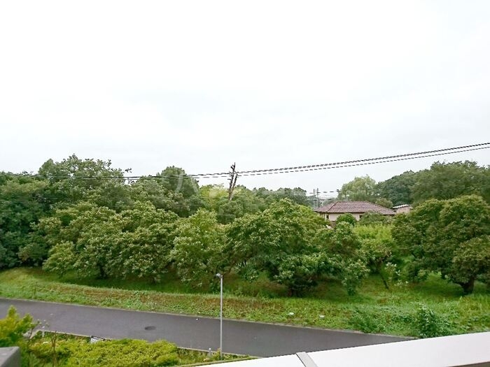 13/21 その他画像