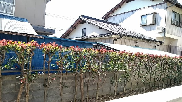 16/30 その他画像