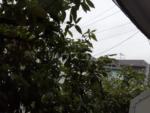 13/25 その他画像