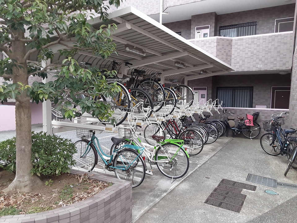 29/30 その他画像