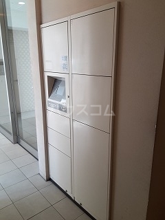 17/30 その他画像